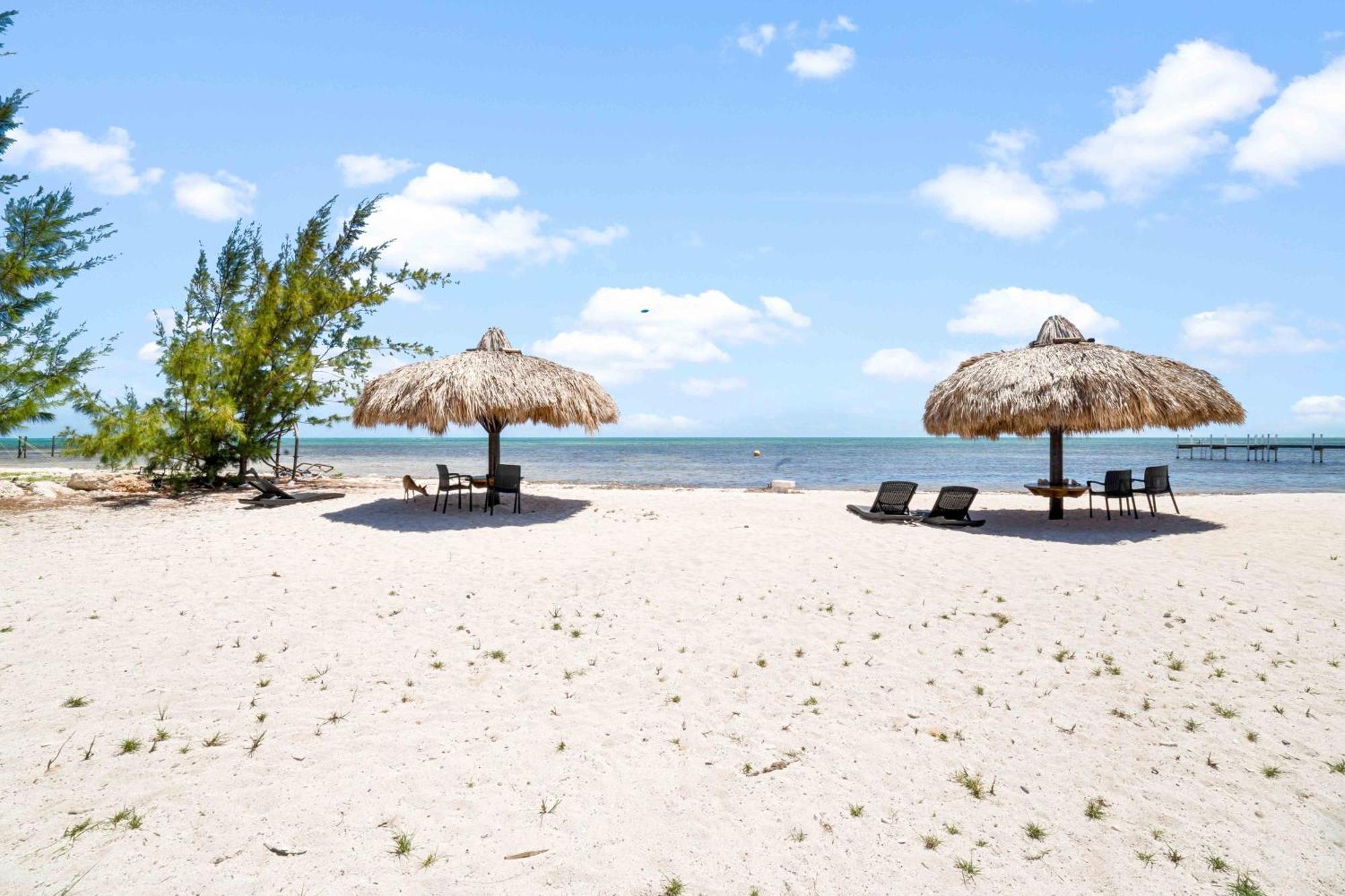 Barnacle Bed And Breakfast Big Pine Key Esterno foto